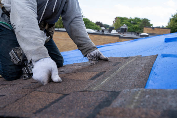 Best Commercial Roofing Services  in Highland City, FL